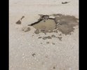 Байромова гордость Каспийска, ямы , латки , просто ужас, во время дождей Венеция
