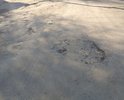 Дорога просто в ужасном состоянии, в прочем как и большинство дорог в нашем маленьком городе...