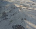 Дорога просто в ужасном состоянии, в прочем как и большинство дорог в нашем маленьком городе...
