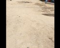 Центр города, очень тяжело назвать дорогой, это скорее участок для прогона скота