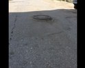 Неровная дорога, отсутствуют тротуары , разметка, торчащие и открытые люки