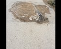 Разбитый участок дороги