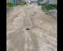 То, что тяжело назвать дорогой