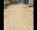 Асфальт нам только снится