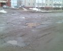 Дорога убита полностью, каждый день по ней по четыре раза приходится ездить, а более-менее оптимальный маршрут объезда ям так и не выработал потому-что яма на яме. За последние года построили в конце улицы несколько многоэтажек, дорогу разбили, а восстанавливать видимо никто не собирается. Особо огромные дыры  засыпались боем кирпича но ситуацию в целом это не исправило. Смотрел на гугле панарамы улиц, так там на фотке 12-го года асфальт еще ровнехонький...