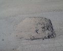Как обычно, весной, козельские дорожники подлатали (если это можно так назвать) участок дороги от перекрестка и до поворота в поселок Механический завод...И всё. А дальше ребята объезжайте не объезжаемые ямы как хотите! Не понятно, почему один раз нельзя не распихивать деньги сразу по карманам, а побыть немного людьми и добраться таки с техникой до поселка Мех. завода!!!
Надеюсь на помощь вашего движения!