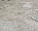 УЖЕ охота взять чиновника за шкирку и накунать, как котенка в эти ямы