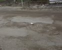 УЖЕ охота взять чиновника за шкирку и накунать, как котенка в эти ямы