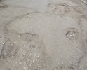 созывайте комиссию. дело уже давно приняло взрывоопасный оборот
