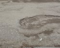 сколько нужно фотографий чтобы перейти от слов к делу?