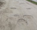 что здесь коментировать шутки уже кончились