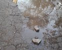 Дорога, проходящая вдоль дома по ул. 60-летия Октября 24 с такими глубокими ямами, что водители, после дождя, не зная глубины ям, "оставляют бамперы". Пройти пешком, не говоря уже о коляске с ребёнком - просто невозможно, а в дождь даже в сапогах не проплыть!!!