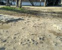 Дорога от ул. Почтовой до ул. Южной полностью разбита, представляет из себя укатанный мусор. Даже пешком пройти бывает затруднительно. Напротив домов 8 (ул.Почтовая) и 5 (ул.Южная) неизвестной организацией проводились земляные работы, после которых дорожное покрытие не было восстановлено, остался только грунт, в дождь - грязь. На тротуаре возле дома 5 (ул.Южная) постоянно паркуют автомобили и в дождь в школу или поликлинику приходится идти по лужам и грязи, так как тротуар заблокирован.