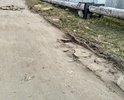Дорога на ул.Почтовый переулок не ремонтировалась последние лет 10, представляет собой грунт со строительным мусором, лужами, рытвинами и ухабами. На ул.Почтовый переулок расположены предприятия, использующие тяжёлые грузовики, которые разбивают дорогу и развозят грязь дальше по городу. В дождь на обычной машине не проехать, многие просто бросают свои машины на въезде и дальше пробираются пешком, по остаткам импровизированного газона, огороженного обломками строительного мусора. Дорожное покрытие отсутствует.