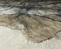 Дорога к подъездам самого большого садика г.Евпатория №29 Чебурашка находится в критическом состоянии. Каждый день при посещении садика ребенок рискует получить травму.