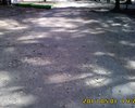 Тропинка в парке вся развалилась.