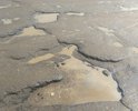 Ужасное состояние покрытия, ехать не возможно. Ремонта не было более 10 лет.