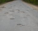 Каждый день, на протяжении последних  лет по пути на работу и с работы жители д.Гридино, д.Говядиха, жители г.Коврова, имеющие дачные участки в д.Говядиха, проезжают на собственных автомобилях от города до своих домов по дороге, пришедшей в негодное состояние. С каждым годом дорога все хуже и хуже. Увеличился поток автомашин, в том числе с большой грузоподъемностью, которые возят стройматериалы, лесовозы вывозят круглый год лес и т.д.
      Ямочный ремонт, который проводят дорожники не весной, а летом или даже осенью( хотя все повреждения, возникшие на магистралях скоростного направления, должны устраняться в срок до 5 дней, а  если брать местные дороги- на протяжении 10 дней) не обеспечивает надлежащего состояния дороги  на весь весеннее-осенний период. Состояние дороги весной этого года ужасное, дорога находится в аварийном состоянии, имеет большие ямы и деформацию асфальтового покрытия (наступила такая ситуация, что эти ямы уже негде объезжать), что нарушает требования безопасности.  Мы  вынужденно попадаем колесами в глубокие ямы, которые могут спровоцировать аварийную ситуацию на пути автомобилей. Объехать их нет никакой возможности, а в последнее время, проезд легкового автомобиля стал практически невозможен. По этой дороге ходят пешеходы и велосипедисты, которые также могут быть сбиты машиной, объезжающей яму по обочине. В летний период по такой аварийной дороге ходит автобус в сады, в выходные народ даже  стоит в проходе- это очень небезопасно.
Ямы не соответствуют ГОСТ Р 50597-93 "Автомобильные дороги и улицы. Требования к эксплуатационному состоянию, допустимому по условиям обеспечения безопасности дорожного движения": ее длина более 15 см, ширина более 60 см, глубина более 5 см.  В связи с этим подвески  автомобилей страдают от повышенной ударной нагрузки, что приводит к ускоренному разрушению  автомобилей и, впоследствии, к дорогостоящему ремонту, портится авторезина. Ужасное состояние дороги  крайне отрицательно влияет на  здоровье жителей, ежедневные стресс и нервозность, а главное безопасность передвижения. Дорога узкая, ухабистая, разъехаться двум легковым автомобилям не просто, а если идет лесовоз или фура, то вообще страшно!!!! 

         Мы считаем, что наличие на дороге указанных неровностей – следствие бездействия и халатности лиц, ответственных за содержание данного участка дороги. Дорога была построена в 1985 г. и с момента строительства капитальный ремонт не производился, только «ямочный», который неэффективен (летом его кладут, а к зиме все содержимое ям выскакивает, и ямы еще больше становятся в объеме).За 30 лет эксплуатации дорожного покрытия и ремонтов -заплата на на заплате, старое покрытие потресканное, местами вспученное. Наши постоянные обращения в Администрацию Ковровского района результатов не дают. Ответ один- в плане нет, финансирования нет и т.д.