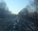 Дорога от Досуговского шоссе до населенного пункта д.Радкевщина находится в очень плохом состоянии, такие дороги в 21 веке характеризуют инфраструктуру нашей области, как экономически отсталую.