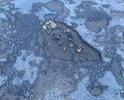 Это центр города. Дорога в ужасном состоянии.Четвёртый год подряд ямочный ремонт.