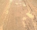 Дорога ужасная в сторону Сараева, сплошные ямы, колеи. Ни кто этим направлением не занимается, а зря. А если престарелым людям понадобится медицинская помочишь, то как они доберутся до места назначения по таким "дорогам"? Это произвол, товарищи, мы живём в такой большой, богатой стране, а должны пробивать колеса, портить машины, только из-за того, что властям на нас наплевать, им наплевать на наши проблемы, им равнодушны российские дороги дороги, мы платим такие налоги, а значит должны ездить по идеальным участкам дорог, а не тратить по два часа для того, чтобы добраться до Сараева( 40 км), нежели до Великого- Устюга( 100 км) за 1 час 30 минут. Если вы, господа чиновники, не примете меры по устранению проблем в данном направлении, то мы будем вынужденны обратиться в вышестоящие инстанции не в Департамент Вологодской области, а в Москву. Вразумитесь, пойдите на встречу населению, ведь они будут вам благодарны за это! Сделайте доброе дело.