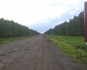 Дорога к селам Котовское и Коптево Рассказовского района Тамбовской области. Каждый день ходит школьный автобус и общественный транспорт. 
Дорога к музею Сергеева-Ценского...есть чем гордиться...