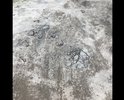 Проехать к дому невозможно.