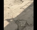 Проехать к дому невозможно.