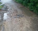 Дорога по ул. Дружбы г. Серпухова никогда не ремонтировалась, дорожное полотно поддерживается только усилиями жителей улицы