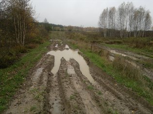 None, деревня Светильново