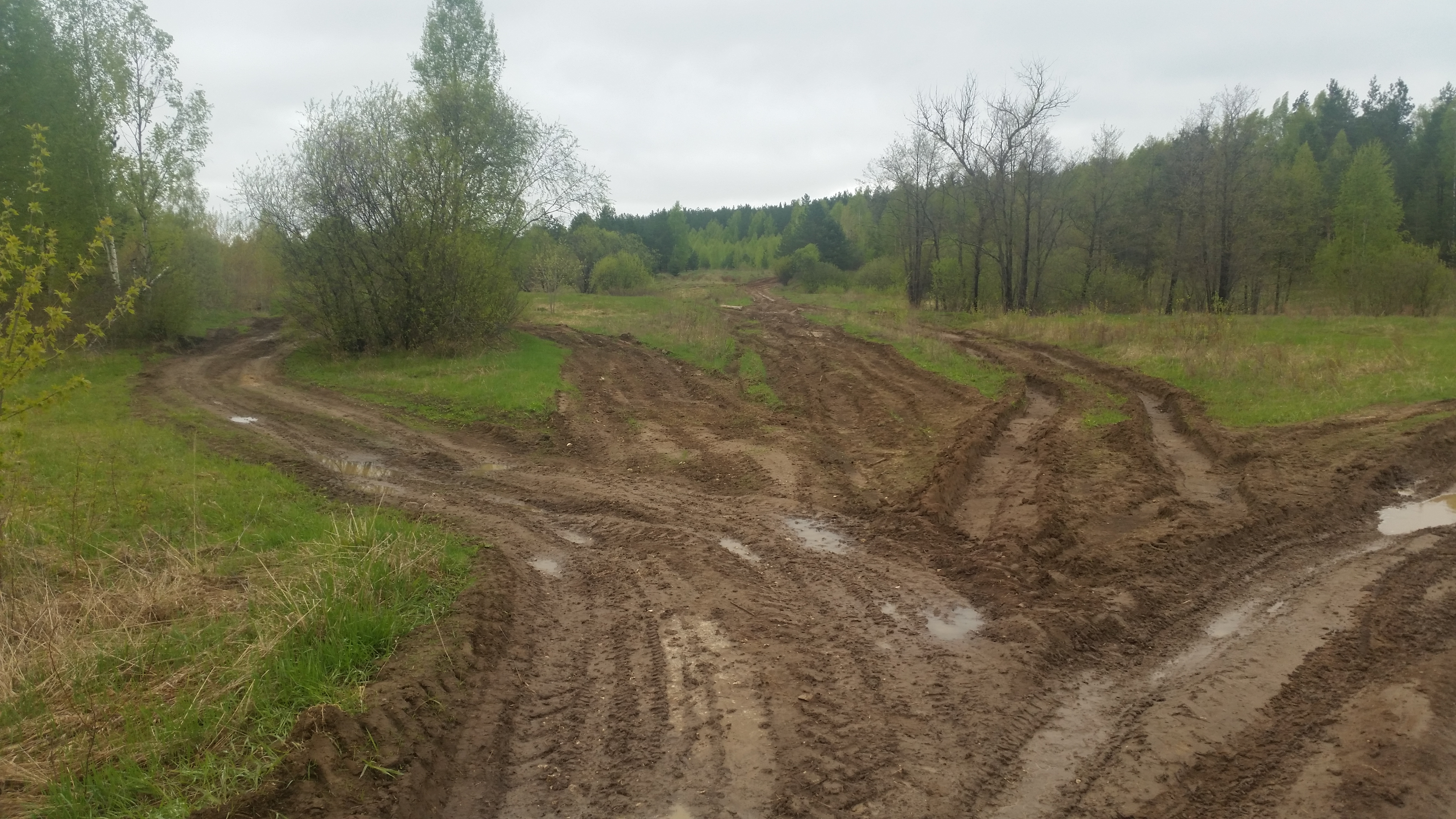 Фото Деревень Гороховецкого Района