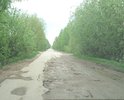 Дорога к конечной автобусной остановке маршрута №118. Надеюсь, не отменят маршрут ради того, чтобы не делать дорогу.