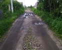 Дорога в ужасном состоянии. К людям живущим на улице Не может проехать скорая помощь, да и самим в плохую погоду не пробраться, приходиться оставлять машину в самом начале и идти с детьми и вещами пешком. Пару лет назад администрация засыпала дальнюю (почему-то начали с конца) часть дороги, где-то 1/3 очень крупным щебнем и на этом весь ремонт закончился, обещали отремонтировать всю. Где дорога?