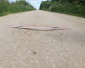 Прошу решить вопрос с въездом в с.Клин Веневского района Тульской области. Пытаемся добиться ремонта дороги с 2015 года. Письма прилагаю. куда только не пишем. В ответ получаем отписки, никаких действий от местной администрации нет и от вышестоящих чиновников тоже. Всем все равно на население сельской местности!!! Не дождавшись никаких действий, местный совхоз своими силами, как могли, выполнили щебеночный ремонт дороги, но вместо 6 метровой дороги, денег хватило только на устройство дороги шириной в 4 метра. Теперь затруднительно разъехаться с большегрузной техникой, которая постоянно проезжает по данной дороге в совхоз, особенные трудности возникают в дождливую погоду и зимний период. т.к. обочины никто не чистит. На данный момент можно проехать не как по нормальной дороге, а как по стиральной доске. Плюс создан немаленький уклон к обочинам. Прошу восстановить ширину дорожного полотна в 6 метров и произвести ремонт дорожного покрытия. Это необходимо было сделать еще в 2016 году, согласно обещаниям администрации и прочих должностных лиц!