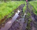 До нашей деревни от последнего клочка асфальта в посёлке Неклюдово всего 1 (один) километр, но этот километр ни пройти, ни проехать: пешком –только в резиновых сапогах по колено, а на машине – лишь на мощном внедорожнике. Постоянные жители Митенино вынуждены покидать свои дома на зиму и периоды осенней и весенней распутицы из-за транспортной недоступности для машин скорой помощи и МЧС. Кстати, расстояние от крайних домов до леса менее ста метров! Для огня, будет гореть дом или лес - это не проблема. Ну, а если для КАМАЗа или УРАЛа МЧС наша «дорога» небольшая проблема, то для «буханки» «скорой» в сопровождение нужно отправлять ещё и трактор.