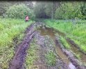 До нашей деревни от последнего клочка асфальта в посёлке Неклюдово всего 1 (один) километр, но этот километр ни пройти, ни проехать: пешком –только в резиновых сапогах по колено, а на машине – лишь на мощном внедорожнике. Постоянные жители Митенино вынуждены покидать свои дома на зиму и периоды осенней и весенней распутицы из-за транспортной недоступности для машин скорой помощи и МЧС. Кстати, расстояние от крайних домов до леса менее ста метров! Для огня, будет гореть дом или лес - это не проблема. Ну, а если для КАМАЗа или УРАЛа МЧС наша «дорога» небольшая проблема, то для «буханки» «скорой» в сопровождение нужно отправлять ещё и трактор.