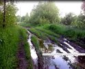 До нашей деревни от последнего клочка асфальта в посёлке Неклюдово всего 1 (один) километр, но этот километр ни пройти, ни проехать: пешком –только в резиновых сапогах по колено, а на машине – лишь на мощном внедорожнике. Постоянные жители Митенино вынуждены покидать свои дома на зиму и периоды осенней и весенней распутицы из-за транспортной недоступности для машин скорой помощи и МЧС. Кстати, расстояние от крайних домов до леса менее ста метров! Для огня, будет гореть дом или лес - это не проблема. Ну, а если для КАМАЗа или УРАЛа МЧС наша «дорога» небольшая проблема, то для «буханки» «скорой» в сопровождение нужно отправлять ещё и трактор.