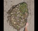 Дорога рядом с домом находится в ужасном состоянии, огромные ямы, невозможно ездить, очень просим Вас повлиять на ремонт дороги