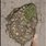 улица Стаханова