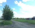 Это даже дорогой назвать нельзя, асфальта нет даже как такового