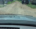 Грунтовая дорога