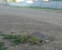 Плохая дорога, асфальт разрушился