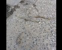 Неровный участок дороги , фотография не способна передать состояние