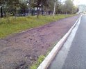 Дорогу по улице Зарипова отремонтировали на отлично еще в прошлом году. А вот тротуар в неудовлетворительном состоянии. Невозможно ходить по ней, камни чувствуются даже через обувь. Везде ямы, трещины на асфальте, детская коляска с трудом катится, спотыкаешься о камни.