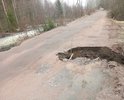 вся дорога в выбоинах и ямах , в двух местах половина дороги обвалилась, ее размыло. дорога находиться на 3.25 км от п.селезнево в сторону п.яшино,считая от перекрестка поворот направо.