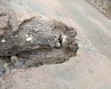вся дорога в выбоинах и ямах , в двух местах половина дороги обвалилась, ее размыло. дорога находиться на 3.25 км от п.селезнево в сторону п.яшино,считая от перекрестка поворот направо.