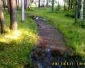 Тропинка в парке натоптана, но не благоустроена.