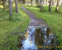 Тропинка в парке натоптана, но не благоустроена.