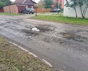 Это все продолжение по улице Пионерской (дорога к долине нищих и новостройкам)