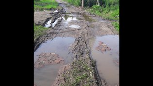 None, деревня Хализево